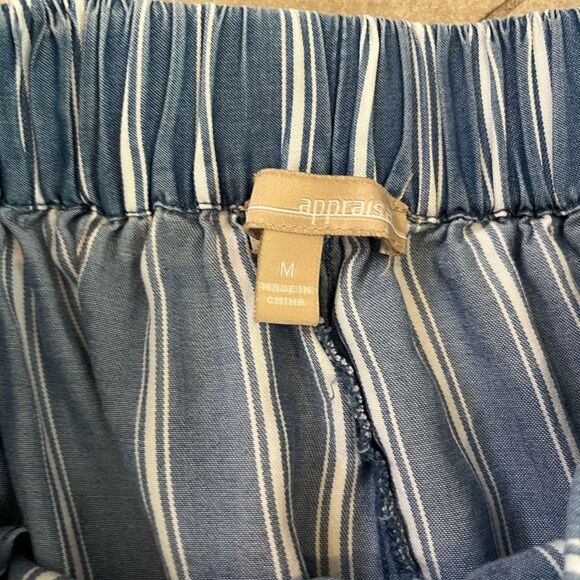 Appraisal Striped Wide Leg Cropped Pull On Pants - Picture 4 of 6